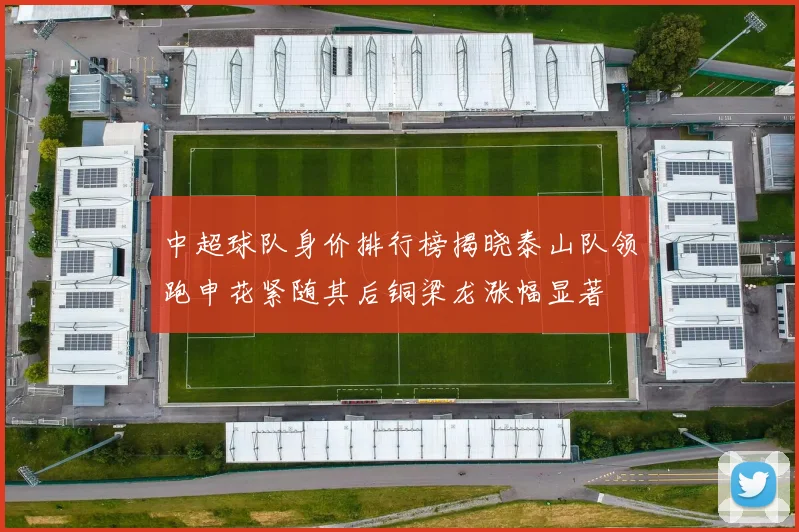 中超球队身价排行榜揭晓泰山队领跑申花紧随其后铜梁龙涨幅显著