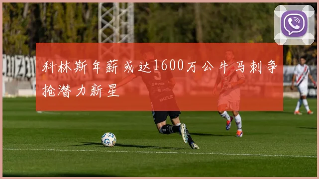 科林斯年薪或达1600万公牛马刺争抢潜力新星