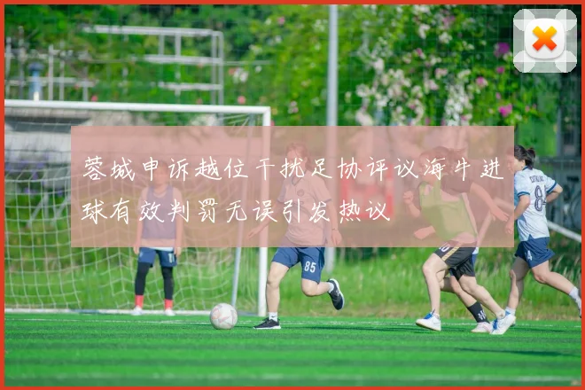 蓉城申诉越位干扰足协评议海牛进球有效判罚无误引发热议
